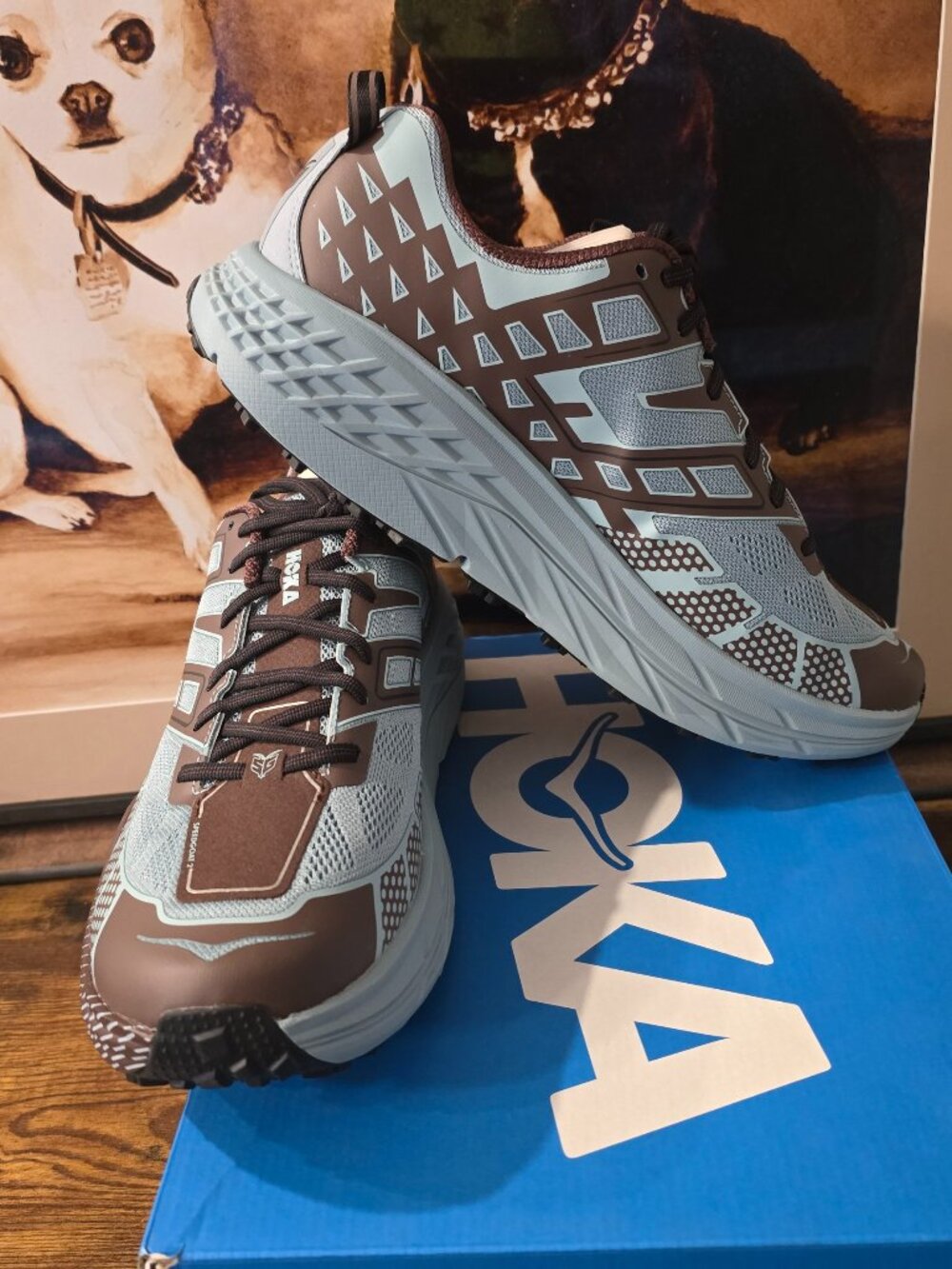 Hoka One One Speedgoat 2 Blue Brown 1162710 DZYC Trail Men’s Size 11 Shoes NEW
